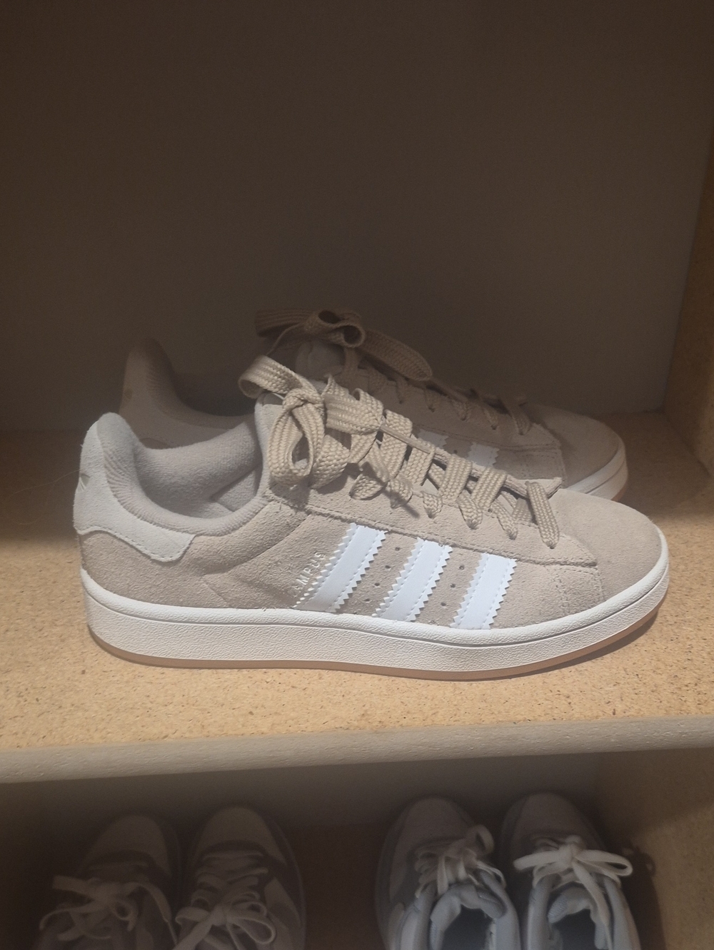 Adidas Campus Suede Sneakers in Taupe and White